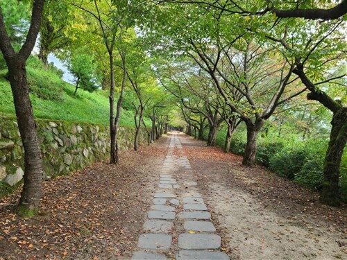 [중고] 왜 약한 것이 강한 것을 이기는가