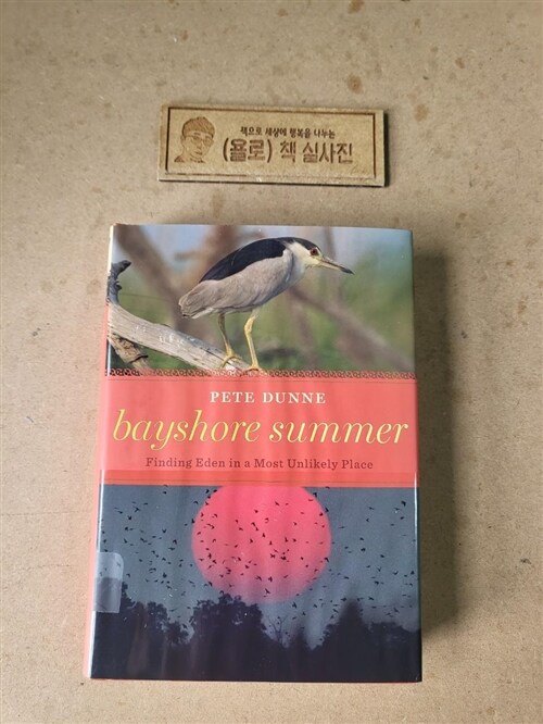 [중고] Bayshore Summer: Finding Eden in a Most Unlikely Place (Hardcover)