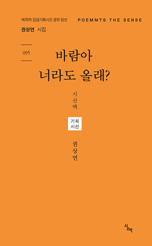 [중고] 바람아 너라도 올래?