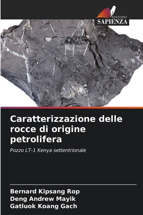 Caratterizzazione delle rocce di origine petrolifera (Paperback)