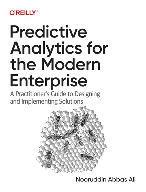 Predictive Analytics for the Modern Enterprise: A Practitioners Guide to Designing and Implementing Solutions (Paperback)