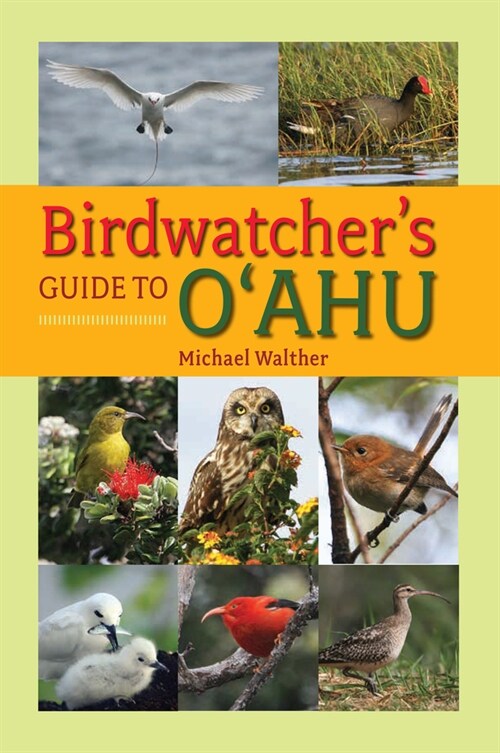 Birdwatchers Guide to OAhu (Hardcover)