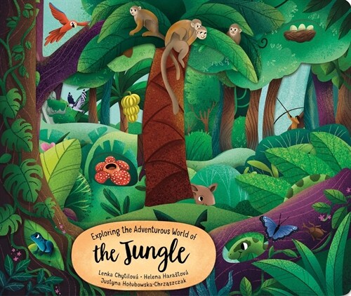 Exploring the Adventurous World of the Jungle (Board Books)