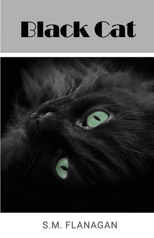Black Cat (Paperback)