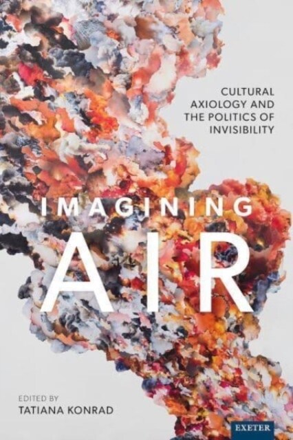 Imagining Air : Cultural Axiology and the Politics of Invisibility (Hardcover)