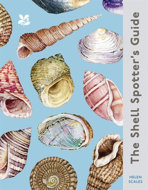 The Shell Spotter’s Guide (Hardcover)