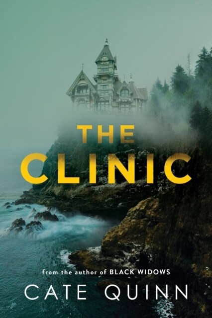The Clinic : The compulsive new thriller from the critically acclaimed author of Black Widows (Paperback)