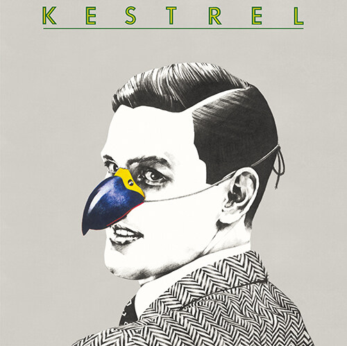 [중고] Kestrel - Complete Recordings [180g 2LP]