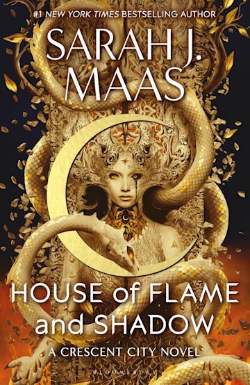 House of Flame and Shadow (Paperback)