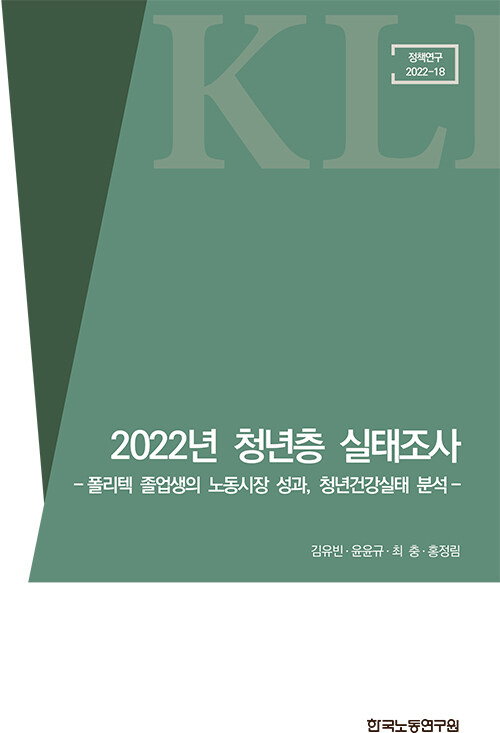 2022년 청년층 실태조사