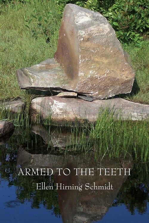 Armed to the Teeth (Paperback)