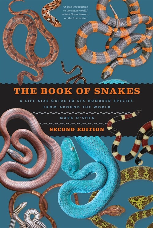 The Book of Snakes: A Life-Size Guide to Six Hundred Species from Around the World (Hardcover, 2)