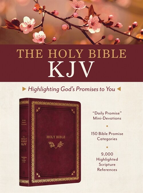 The Holy Bible Kjv: Highlighting Gods Promises to You [Crimson & Gold] (Imitation Leather)