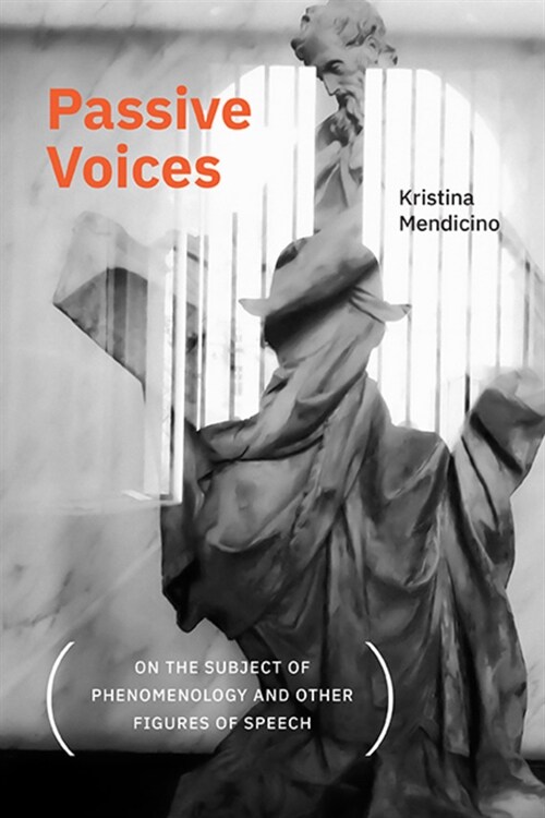 Passive Voices (on the Subject of Phenomenology and Other Figures of Speech) (Paperback)