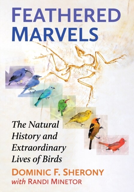 Feathered Marvels: The Natural History and Extraordinary Lives of Birds (Paperback)
