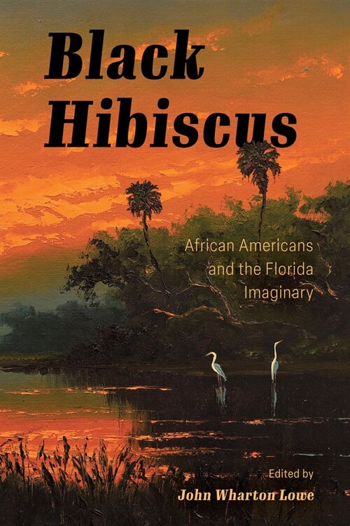 Black Hibiscus: African Americans and the Florida Imaginary (Paperback)