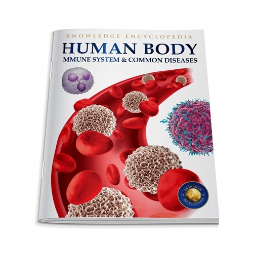 Human Body: Immune System and Common Diseases (Paperback)