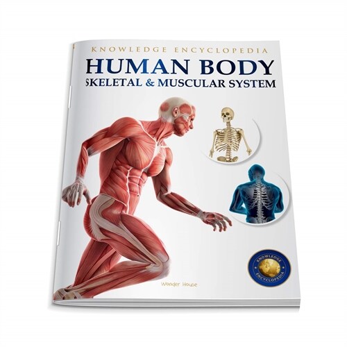 Human Body: Skeletal and Muscular System (Paperback)