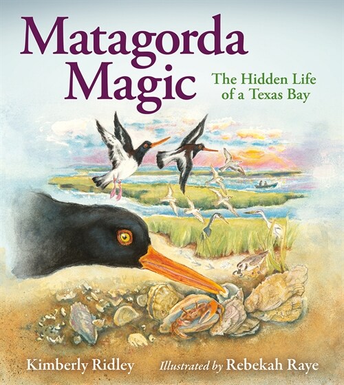 Matagorda Magic: The Hidden Life of a Texas Bay (Hardcover)