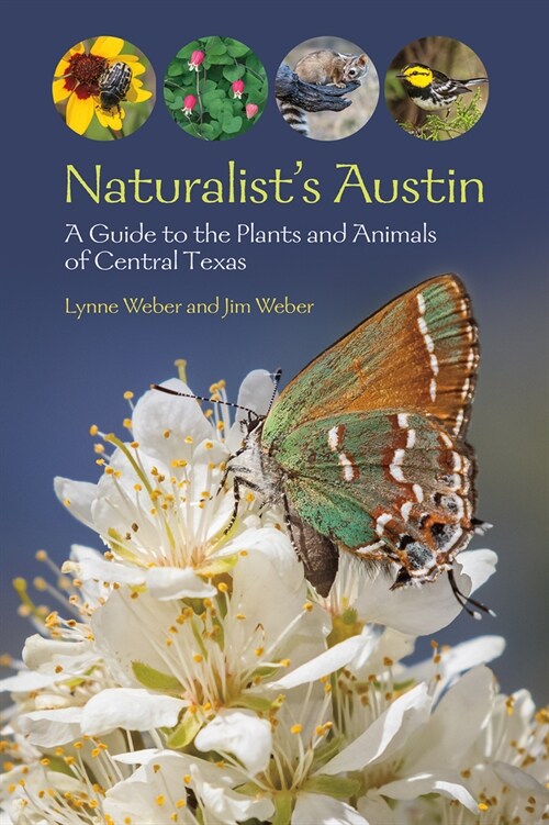 Naturalists Austin: A Guide to the Plants and Animals of Central Texas (Paperback)