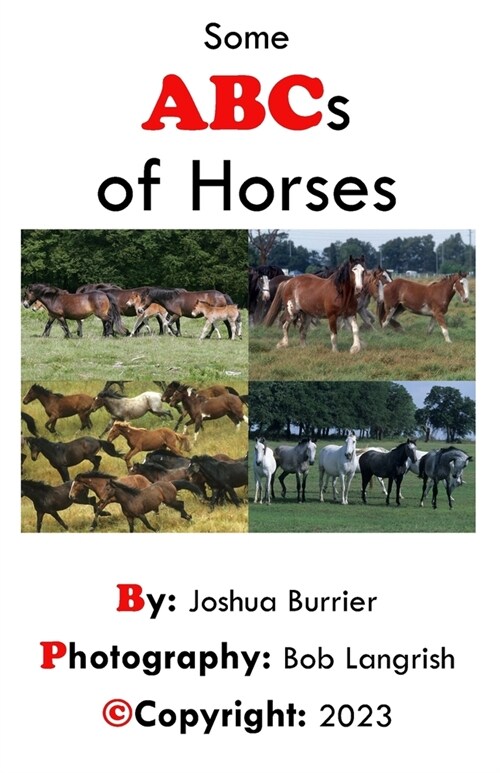 Some ABCs of Horses: The beginners guide the the Equestrian world (Paperback)