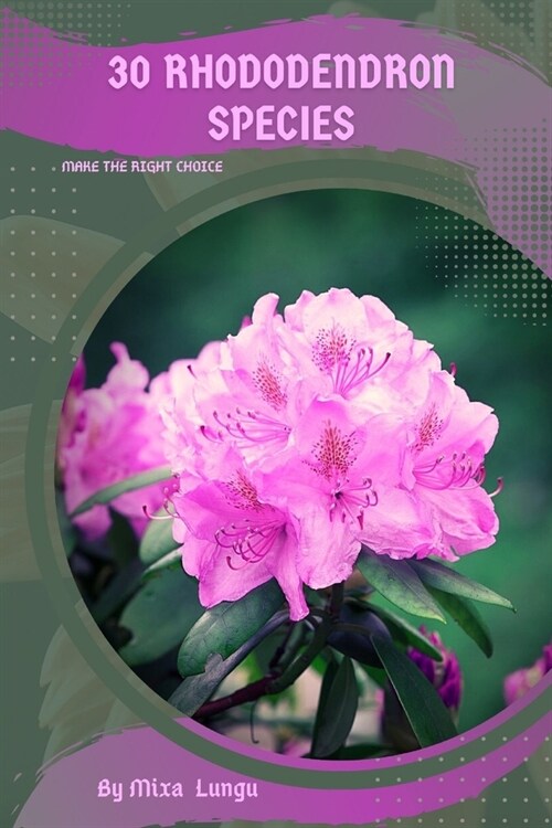 30 Rhododendron species: Make the right choice (Paperback)