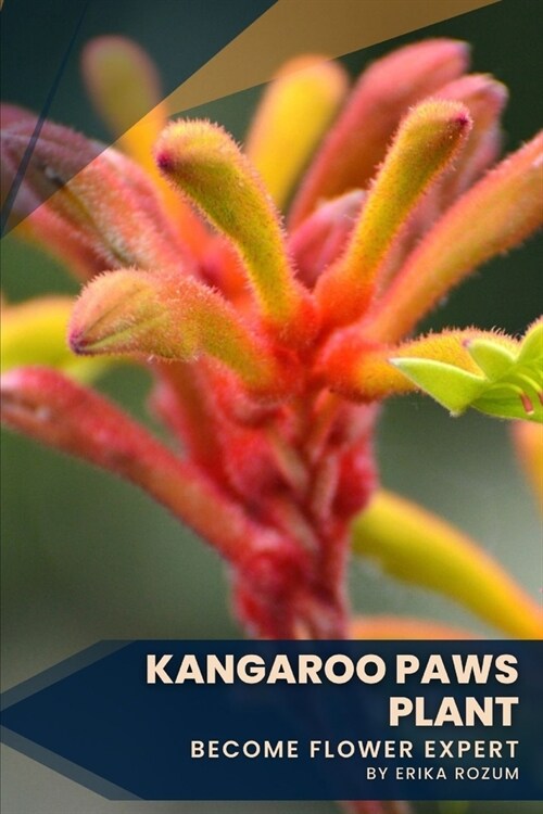 Kangaroo Paws plant: Become flower expert (Paperback)