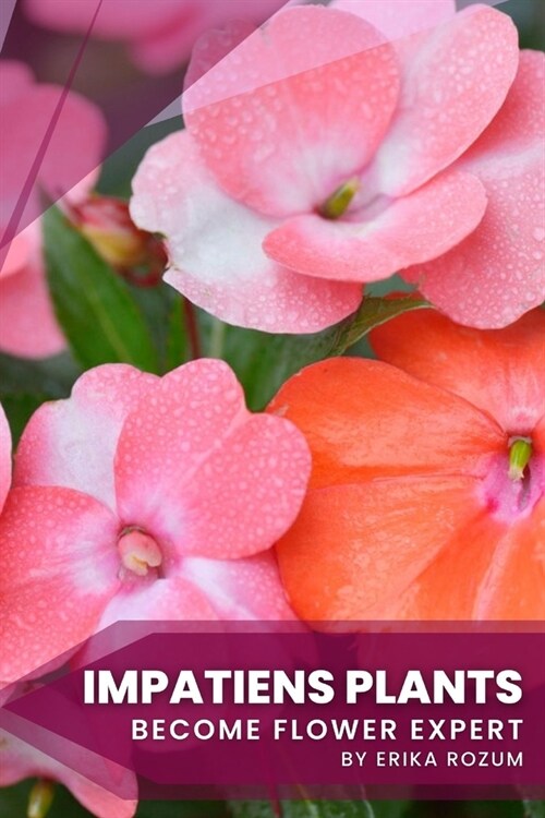Impatiens Plants: Become flower expert (Paperback)