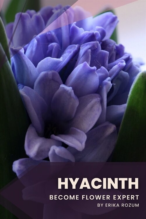 Hyacinth: Become flower expert (Paperback)