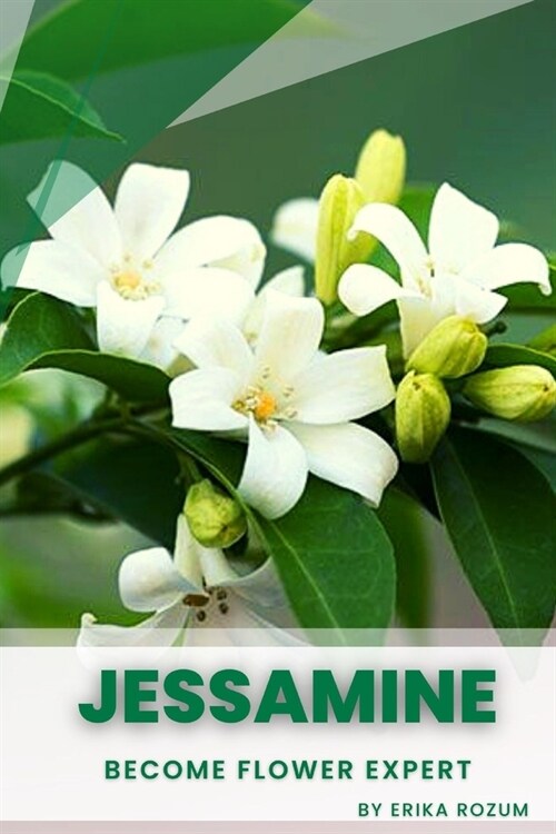 Jessamine: Become flower expert (Paperback)