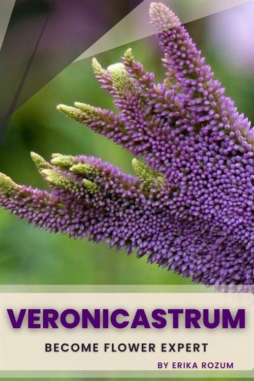 Veronicastrum: Become flower expert (Paperback)