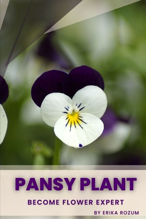 Pansy plant: Become flower expert (Paperback)
