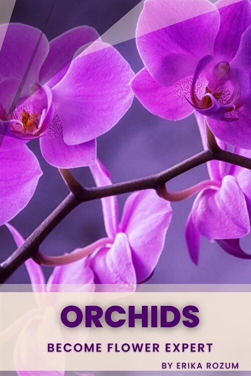 Orchids: Become flower expert (Paperback)
