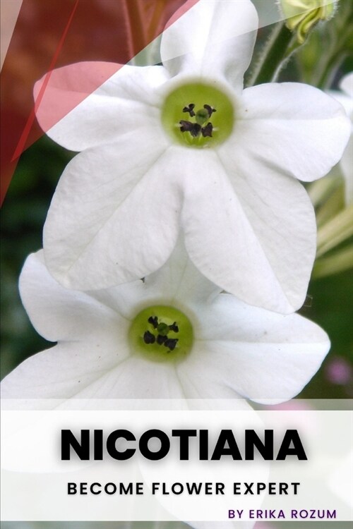 Nicotiana: Become flower expert (Paperback)