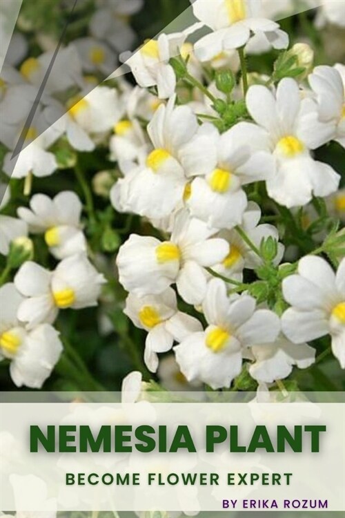 Nemesia Plant: Become flower expert (Paperback)