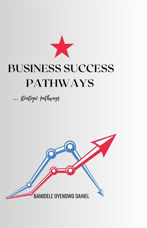 Business success pathways: Strategic pathways (Paperback)