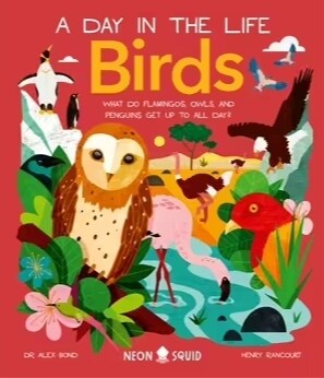 Birds (A Day in the Life) : What Do Flamingos, Owls, and Penguins Get Up To All Day? (Hardcover)
