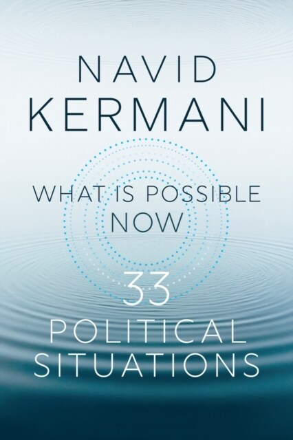 What is Possible Now : 33 Political Situations (Hardcover)