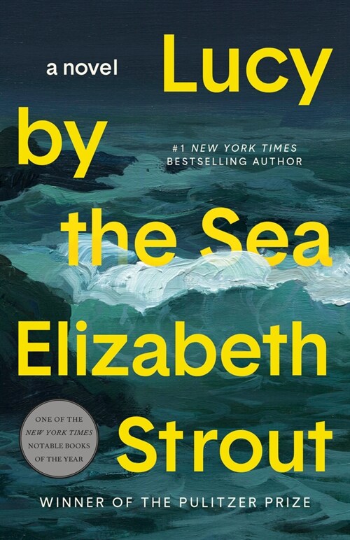 LUCY BY THE SEA (Paperback)