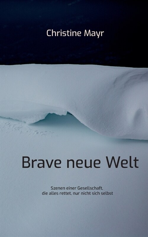 Brave neue Welt: Szenen einer Gesellschaft, die alles rettet, nur nicht sich selbst (Paperback)