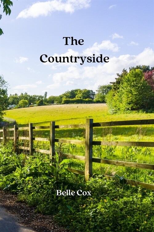 The Countryside (Paperback)