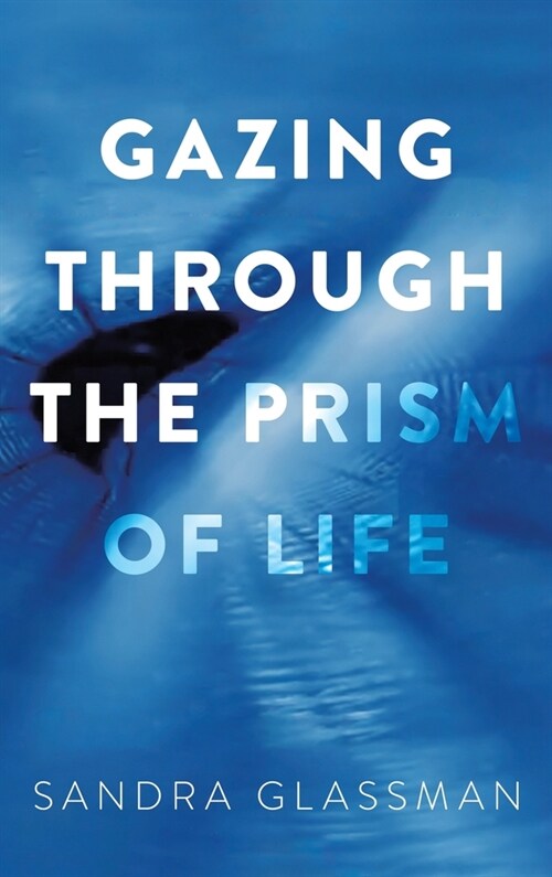 Gazing Through the Prism of Life (Hardcover)