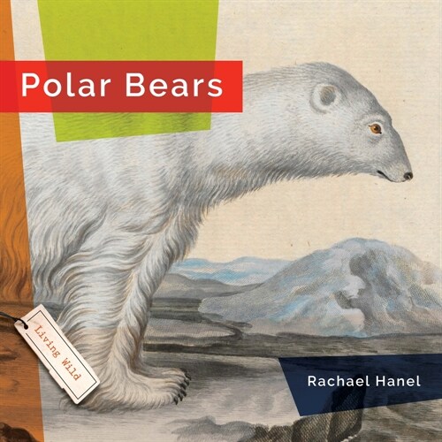 Polar Bears (Library Binding)