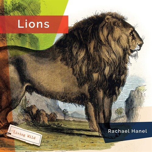 Lions (Library Binding)