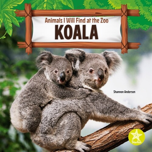 Koala (Hardcover)