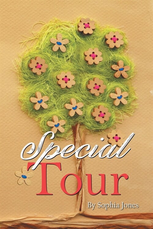 Special Tour (Paperback)