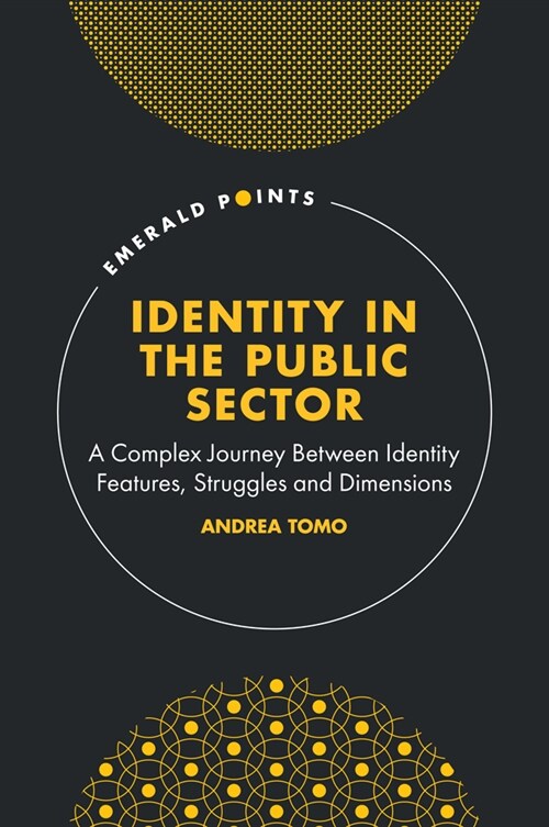 Identity in the Public Sector: A Complex Journey Between Identity Features, Struggles and Dimensions (Hardcover)