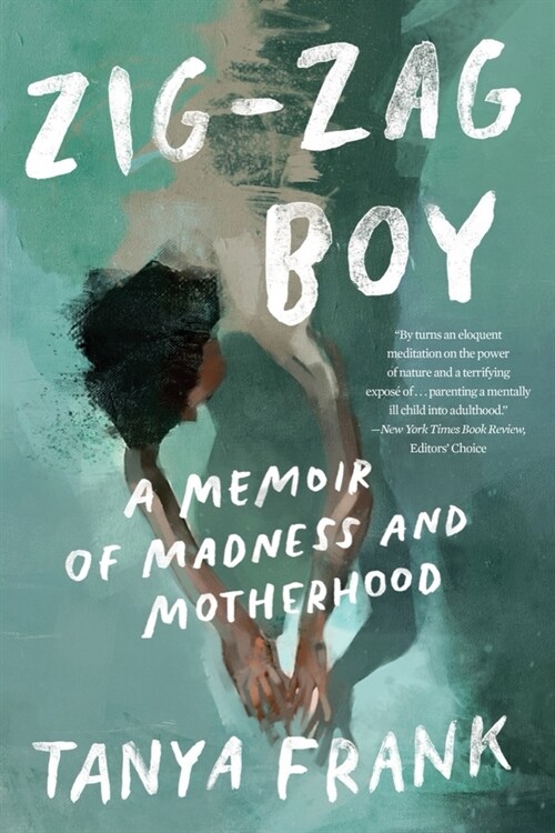 Zig-Zag Boy: A Memoir of Madness and Motherhood (Paperback)