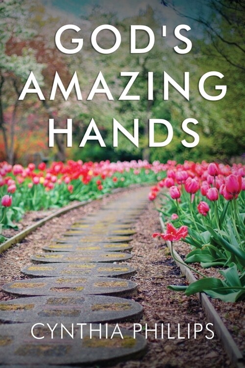 Gods Amazing Hands (Paperback)