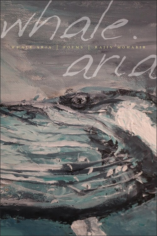 Whale Aria (Paperback)